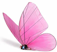 Rose Pink wing style